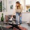 Karcher WV 1 Plus Window Vac | High-Efficiency Cordless Cleaner for Sparkling Clean Surfaces