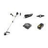 Karcher LT 400/40 Bp Bullhorn Brush Cutter and Trimmer | High Power Dual Function Trimmer and Blade Cutter